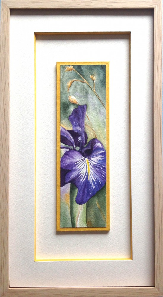 Encadrement aquarelle d'une fleur de Lys violet sur hausse et passe partout blanc avec baguette en chêne brut.